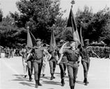 ���� ����� - ������ �� ���